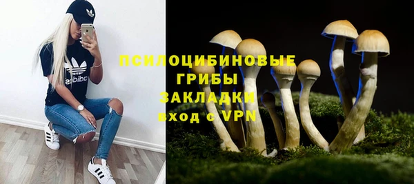 ГАЛЛЮЦИНОГЕННЫЕ ГРИБЫ Дмитров
