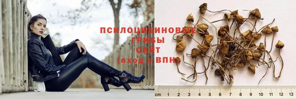 хмурый Дмитровск