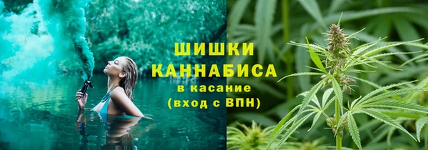 хмурый Дмитровск