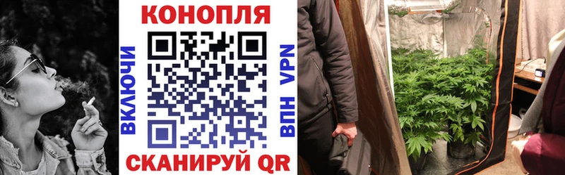 купить цена Ефремов МАРИХУАНА Bruce Banner